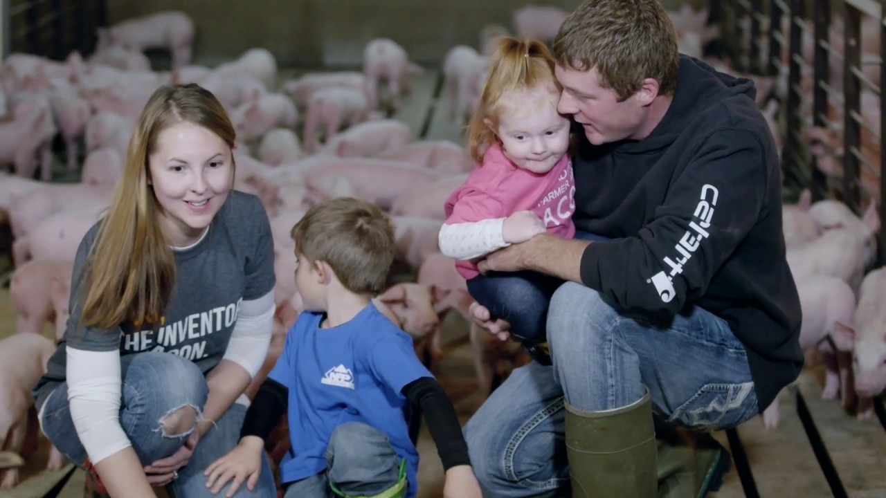 What is Contract Pig Farming? Jake Schutte Story