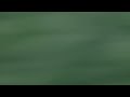 冬にわかれて – somewhere