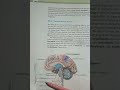 🧠🧠