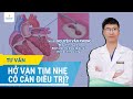 Hở van tim nhẹ có cần điều trị?