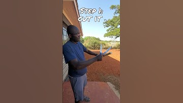 Where does sugar come from?