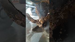 princess V 50 nach einem Jahr