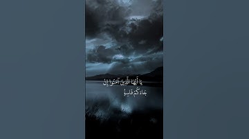 تلاوة خاشعة القارئ الشيخ بدر التركي