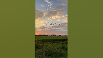 سورة طه #اكسبلور #لايك #reels #trending
