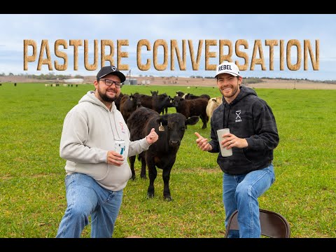 Recorded in front of a LIVESTOCK audience...