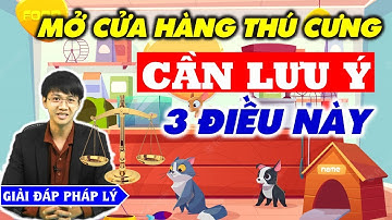 3 vấn đề PHÁP LÝ cần biết khi mở cửa hàng Thú Cưng (petshop)