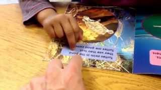 Learning about non fiction writing and animals in guided reading #edwrdsb