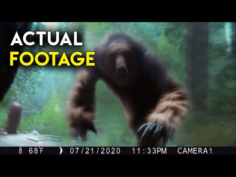 UNKNOWN Creature Caught On Trail Cam