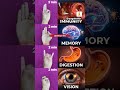 Daily Mudra Immunity Memory Digestion Vision Shorts Mudra Yoga Trending Ytshorts Love mp3