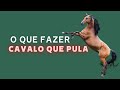 como fazer com animal que pula do nada