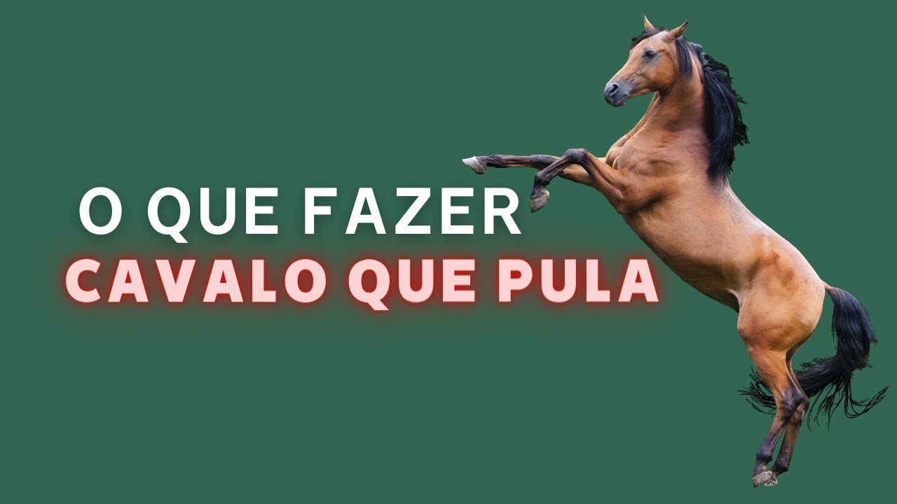 Faça isto pro cavalo não pular , evitando acidente 