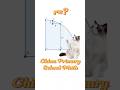 Chinese Primary School Math #maths #mathematics #trigonometry #exam #cat #geometry #tutorial