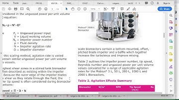 bioreactor scale up part 1