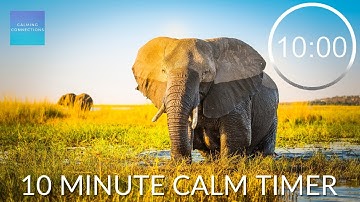 10 Minute Timer With Calming Music 🐘 ⏲ Countdown timer with inspiring Music, 10 minute pack up song