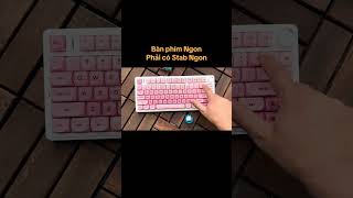 Bàn phím ngon phải có Stab ngon #banphimco #keyboard #mod #stab #stabbanphimco