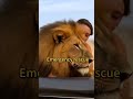 #shorts #Animal  Rescue #FireRescue