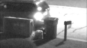 AXIS P3367 with ACAP- Digital Auto-Tracking