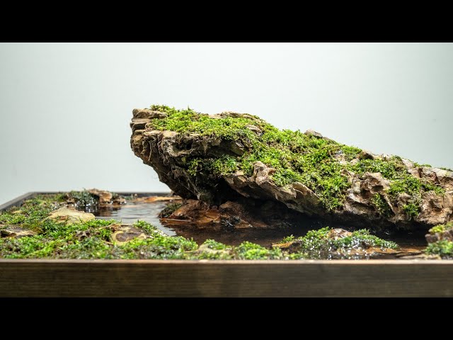Creating a Mossy Landscape