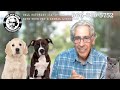 Pet parents eclipses  estate planning this week on the pet show with warren eckstein