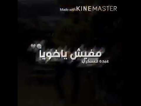 ألبي ساب والعقل باض وخاب ام العيال 