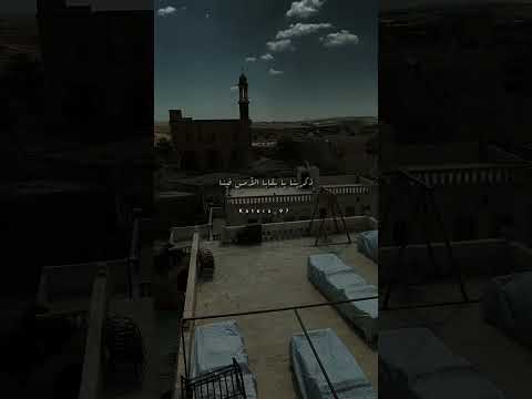 ذكرينا يا بقايا الأمس فينا ما أقسى الحنين زادنا الشوق أنينا