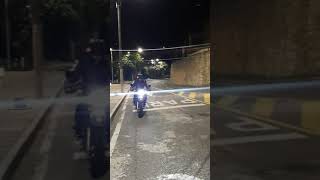 Calavera - Depredador