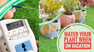 How to Water Plants While on Vacation | पौधो को ऑटोमेटिकली पानी दे | Best Self Watering System