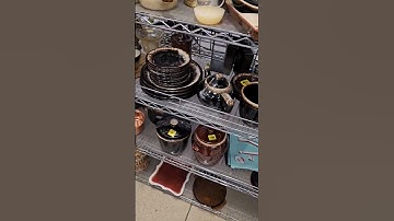 $$$THRIFT SCORE ALERT ⚠️ 📢 $$$ #thriftfinds #homedecor #thrifting #thrift #vintagestyle #thriftstore