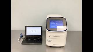 Quantstudio 3 Real Time PCR Video ID 30486