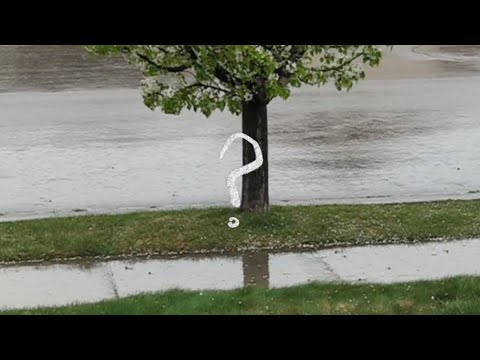 Rain Interlude 🌧️ (a VERY short film) | Lacey Lu 