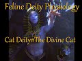 Feline deity physiology cat deity the divine cat