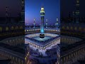 Quran Recitation 💕💕      #shorts #ytshorts #quran #quranrecitation  #allah