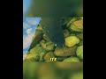 My Chonky Bass Passed Away After 5 Years. The Underwater Footage Revealed a Jaw-Dropping Secret!😱🐟🧬