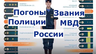 Погоны и Звания Полиции России (МВД РФ) по порядку возрастания со звездами по старшинству