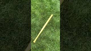 Famous Custom 2017 Demarini Green Zen Wiffle ball bat! Net Worth