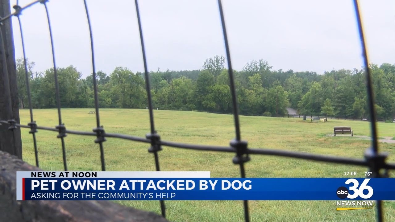 Pet owner attacked by dog while trying to save her own - YouTube