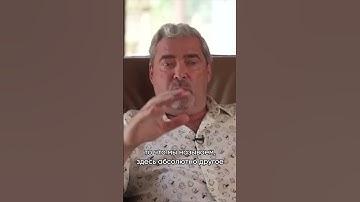 Как торгует искусственный интеллект?