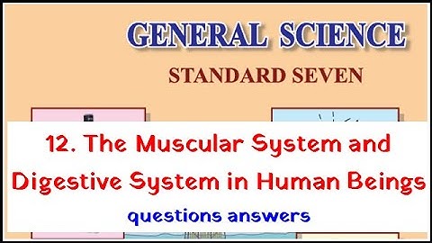 12. The Muscular System and Digestive System in Human Beings questions answers class 7 science