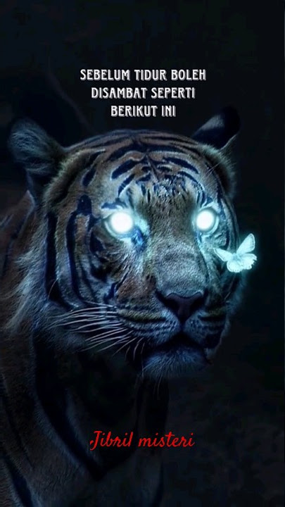 story wa jibril khodam harimau
