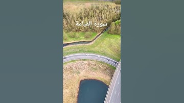 ما تيسر من سورة القيامة بصوت المقرئ شيخ ياسر الوسري.
