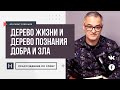 Дерево жизни и дерево познания добра и зла | Проповедь. Герман Бем