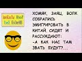 Подборка коротких смешных анекдотов! ХОМЯК, ЗАЯЦ, ВОЛК собрались в КИТАЙ... ЮМОР ЮМОР ЮМОР