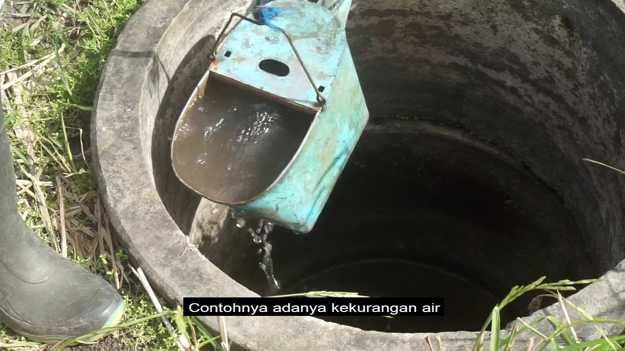 [ FILM PENDEK ] Jeritan Padi - SMAN 1 Temon