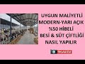 EN UCUZ MALİYETLİ 100 BAŞLIK BESİ ÇİFTLİĞİ & 50 SAĞMAL SÜT ÇİFTLİĞİ %50 HİBELİ NASIL VE KAÇA YAPILIR