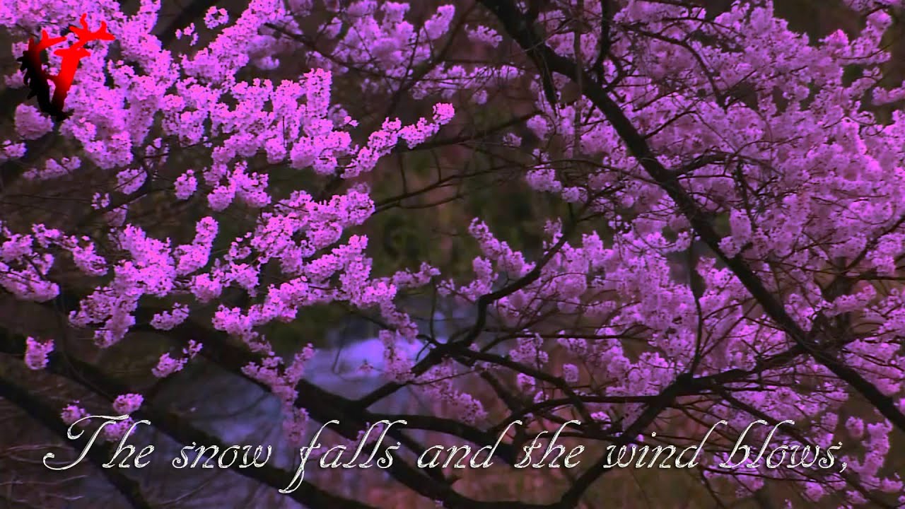 Music Video. 一 剪 梅 / A Spray of Plum Blossoms - Translation English. 