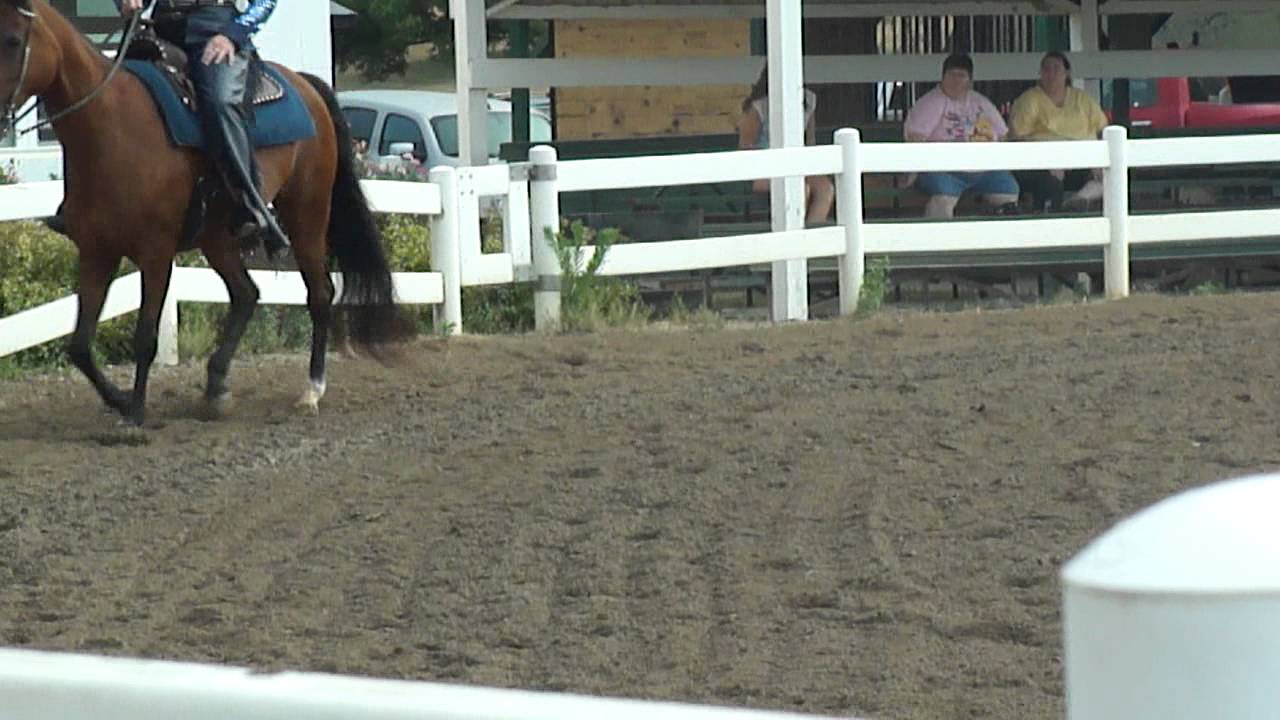 Secret's Favorite Harmony/Dirty Little Secret Trail Pleasure 3 Gait Championship