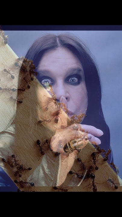 who did ozzy osbourne snort ants with