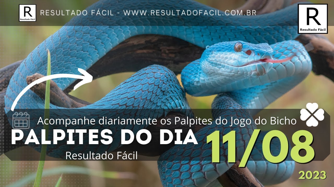 Palpite do dia do Jogo do Bicho - Resultado Fácil