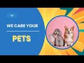 A New Era in Pet Healthcare: How VETIC is Changing the Game
