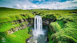 Great Relaxing Peaceful Heals The Heart And Blood Vessels